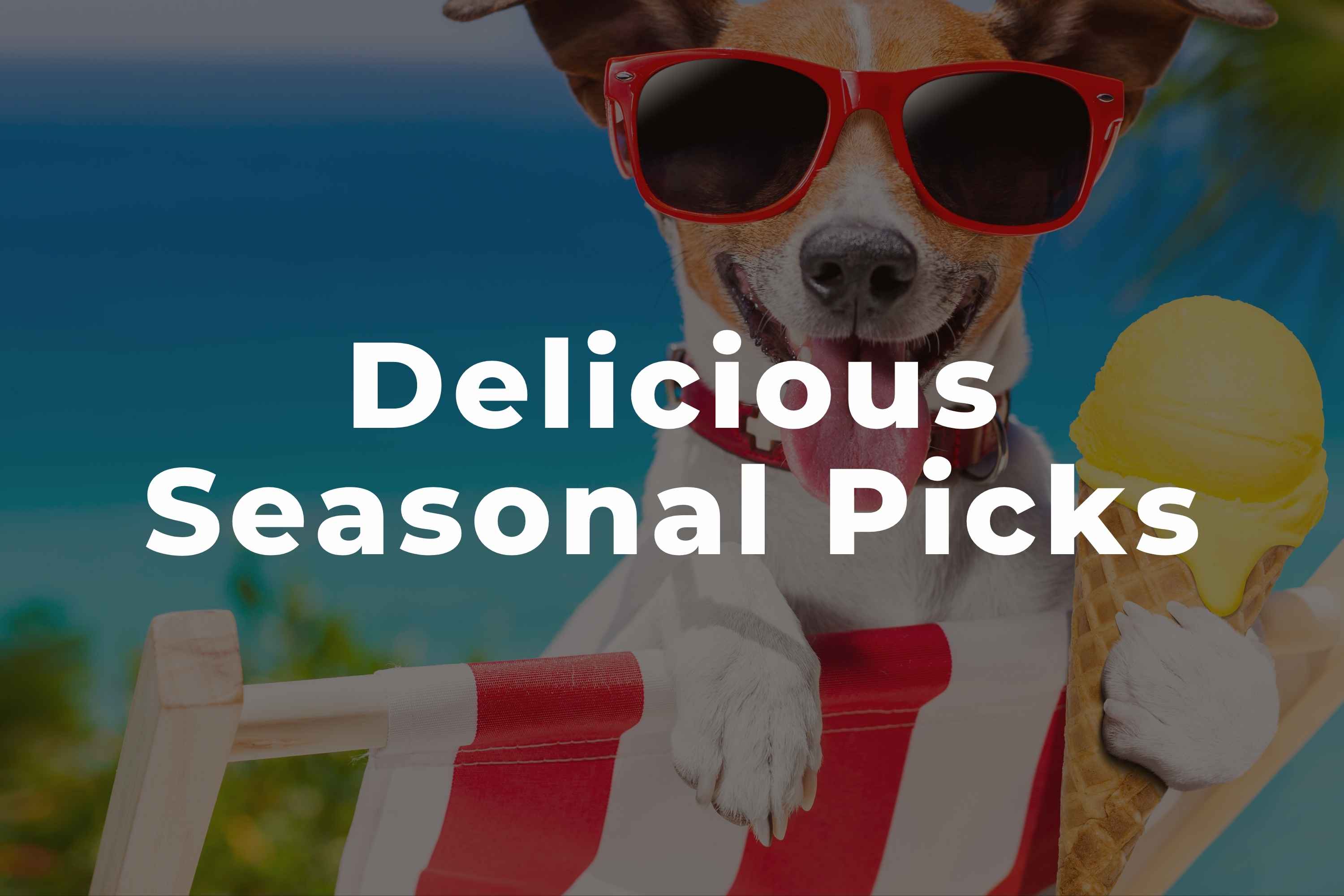 VIP Summer Picks